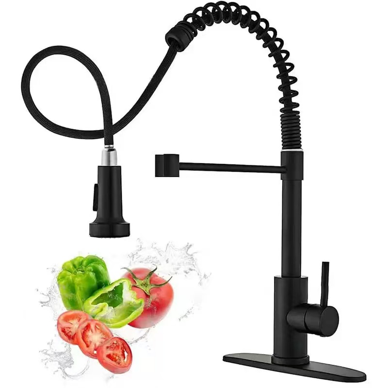 Kitchen Appliances Germany - Stainless steel kitchen faucet single hole